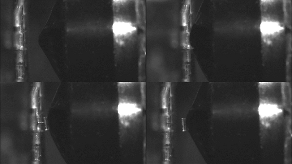 1772706098185035.png 圖片 5.png